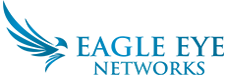 Eagle Eye Security logo
